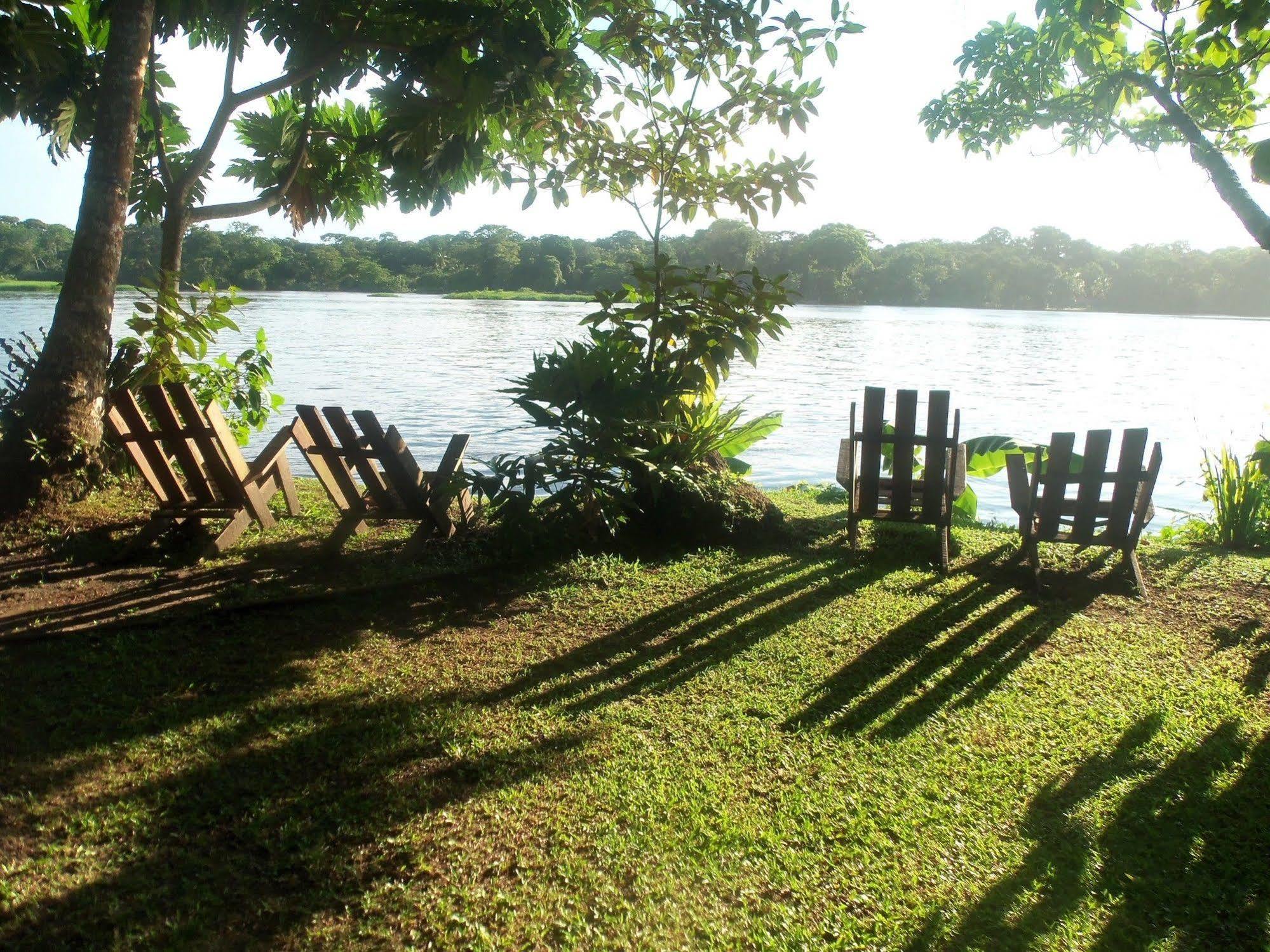 Miss Junies Lodge Tortuguero Exteriér fotografie